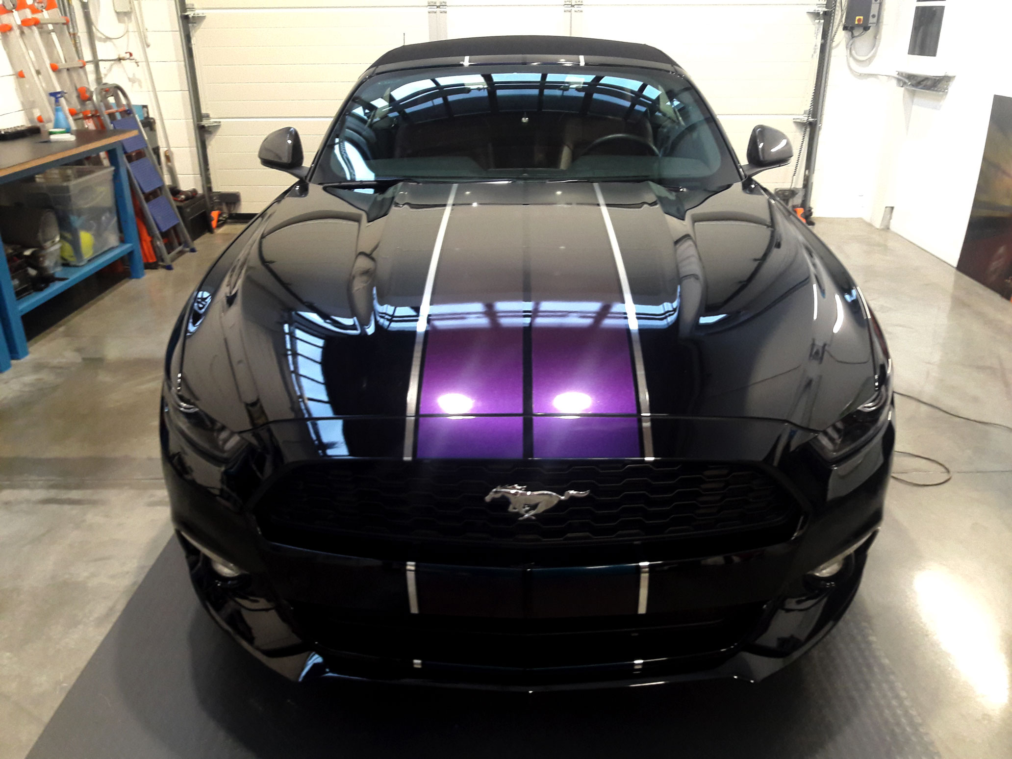 side-printing-carwrapping-wrapping-wrap-ford-mustang-stripes-violet-strisce-viola-pellicola-3m-endorsed-installer-auto-sportiva-lusso-piacenza